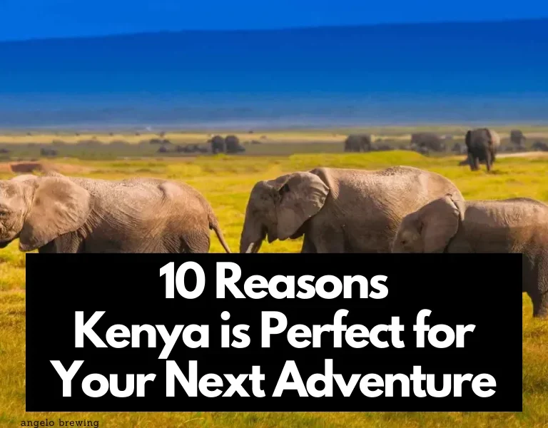 10 Reasons Kenya is Perfect for Your Next Adventure
