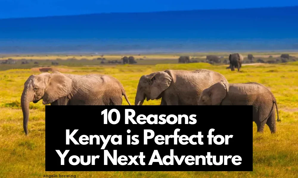 10 Reasons Kenya is Perfect for Your Next Adventure